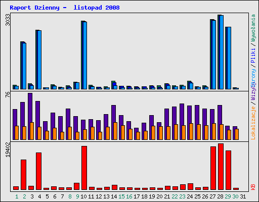 Raport Dzienny -  listopad 2008