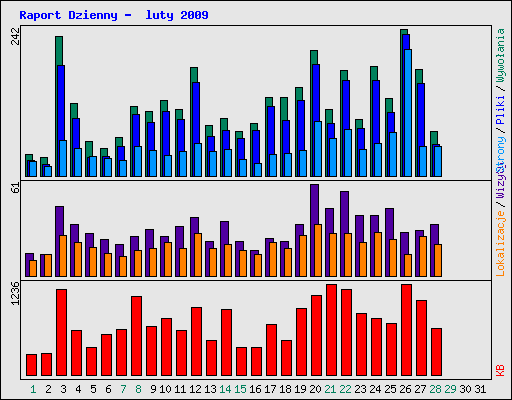 Raport Dzienny -  luty 2009