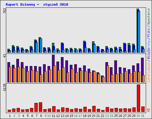 Raport Dzienny -  stycze 2010