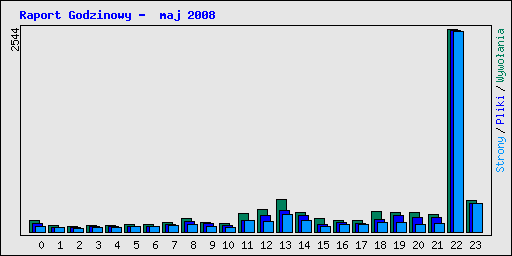 Raport Godzinowy -  maj 2008