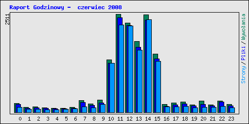 Raport Godzinowy -  czerwiec 2008