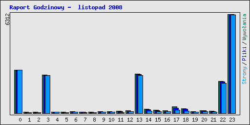 Raport Godzinowy -  listopad 2008