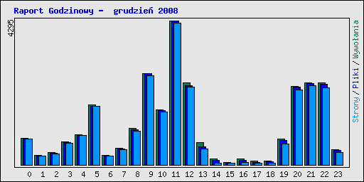 Raport Godzinowy -  grudzie 2008