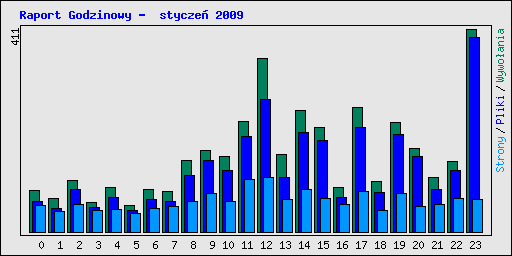 Raport Godzinowy -  stycze 2009