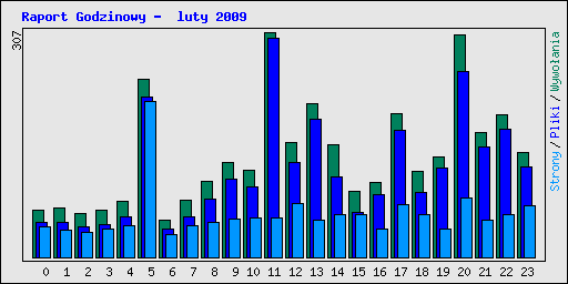 Raport Godzinowy -  luty 2009