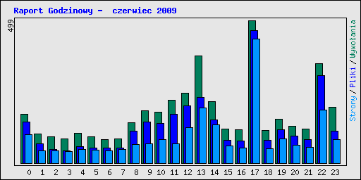 Raport Godzinowy -  czerwiec 2009