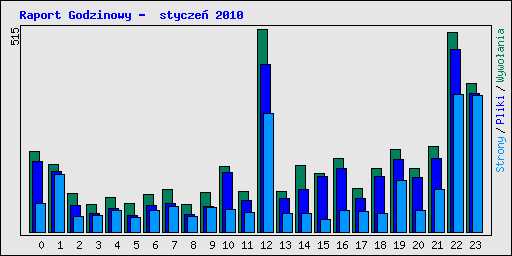 Raport Godzinowy -  stycze 2010