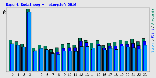 Raport Godzinowy -  sierpie 2010