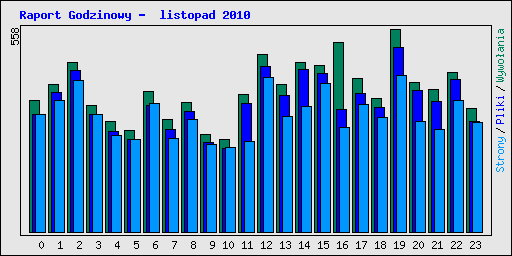 Raport Godzinowy -  listopad 2010